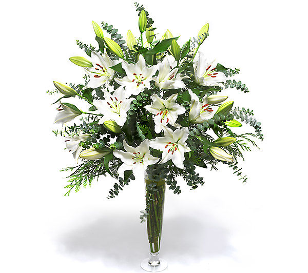 Žuti ljiljan (Lilium Jankae)
