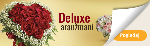 Ekskluzivni aranzmani